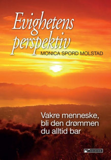 Evighetens perspektiv av Monica Spord Molstad (Innbundet)