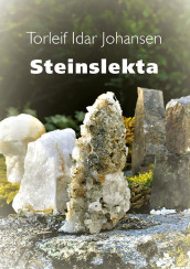 Steinslekta av Torleif Idar Johansen (Innbundet)