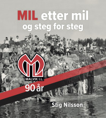 Mil etter mil og steg for steg av Stig Nilsson (Innbundet)