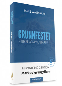 Grunnfestet av Jarle Waldemar (Heftet)