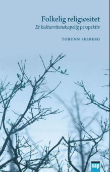 Folkelig religiøsitet av Torunn Selberg (Heftet)