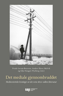 Det mediale gjennombruddet av Frode Lerum Boasson, Anders Skare Malvik og Silje Haugen Warberg (Heftet)