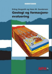 Geologi og formasjonsevaluering av Hans M. Gundersen og Erling Skagseth (Heftet)