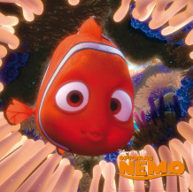 Oppdrag Nemo (Kartonert)