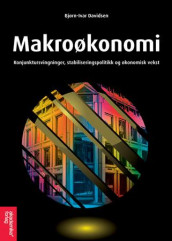 Makroøkonomi av Bjørn-Ivar Davidsen (Heftet)