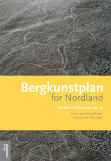 Bergkunstplan for Nordland av Eva S. Walderhaug (Heftet)