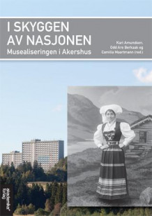 I skyggen av nasjonen av Kari Amundsen, Odd Are Berkaak og Camilla Maartmann (Heftet)