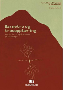 Barnetro og trosopplæring av Tom Erik Hamre, Erling Lundeby og Arne Redse (Heftet)