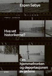 Hva vet historikerne? av Espen Søbye (Ebok)