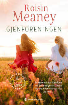 Gjenforeningen av Roisin Meaney (Ebok)