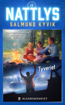 Tyveriet av Salmund Kyvik (Ebok)