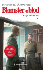 Skjebnemøte av Kristin S. Ålovsrud (Ebok)