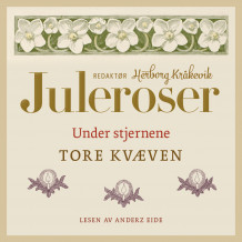 Under stjernene av Tore Kvæven (Nedlastbar lydbok)