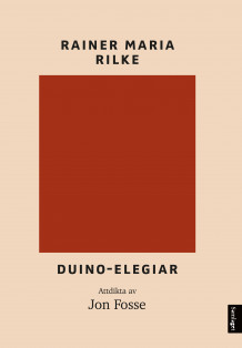 Duino-elegiar av Rainer Maria Rilke (Ebok)
