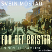 Før det brister av Svein Mostad (Nedlastbar lydbok)