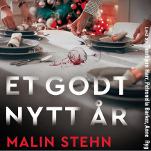Et godt nytt år av Malin Stehn (Nedlastbar lydbok)