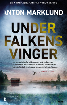 Under falkens vinger av Anton Marklund (Ebok)