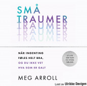Små traumer av Meg Arroll (Nedlastbar lydbok)