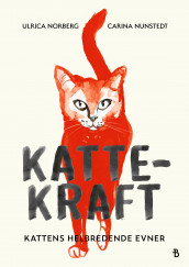 Kattekraft av Ulrica Norberg og Carina Nunstedt (Ebok)