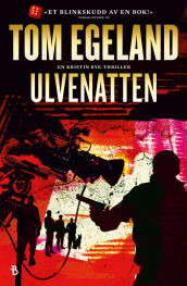 Ulvenatten av Tom Egeland (Ebok)