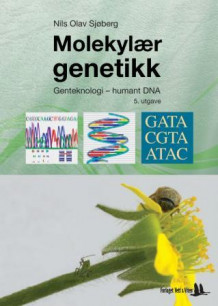 Molekylær genetikk av Nils Olav Sjøberg (Heftet)