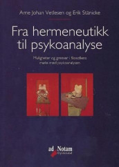 Fra hermeneutikk til psykoanalyse av Erik Stänicke og Arne Johan Vetlesen (Heftet)