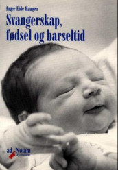 Svangerskap, fødsel og barseltid av Inger Eide Haugen (Heftet)