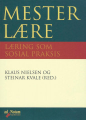 Mesterlære av Steinar Kvale og Klaus Nielsen (Heftet)