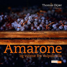 Amarone og vinene fra Valpolicella av Thomas Ilkjær (Innbundet)