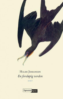 En foreløpig verden av Hilde Johansen (Heftet)