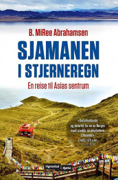Sjamanen i stjerneregn av B. MiRee Abrahamsen (Ebok)