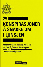 25 konspirasjoner å snakke om i lunsjen av Fredrik Sjaastad Næss og Bjørn-Henning Ødegaard (Innbundet)