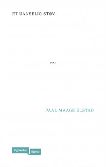 Et uanselig støv av Paal Maage Elstad (Ebok)