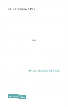 Et uanselig støv av Paal Maage Elstad (Ebok)