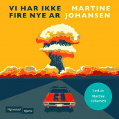 Vi har ikke fire nye år av Martine Johansen (Nedlastbar lydbok)