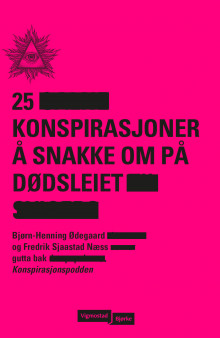 25 konspirasjoner å snakke om på dødsleiet av Bjørn-Henning Ødegaard og Fredrik Sjaastad Næss (Innbundet)