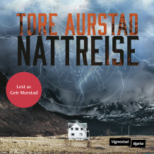 Nattreise av Tore Aurstad (Nedlastbar lydbok)
