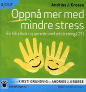 Oppnå mer med mindre stress av Andries J. Kroese (Nedlastbar lydbok)