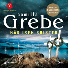 Når isen brister av Camilla Grebe (Nedlastbar lydbok)