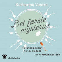 Det første mysteriet av Katharina Vestre (Nedlastbar lydbok)