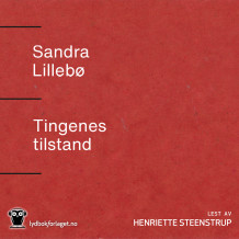 Tingenes tilstand av Sandra Lillebø (Nedlastbar lydbok)