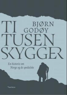 Ti tusen skygger av Bjørn Godøy (Ebok)