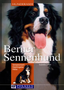 Berner sennenhund av Isabella Lauer (Heftet)