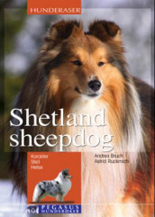 Shetland sheepdog av Andrea Bruch og Astrid Ruckmich (Innbundet)