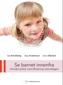 Se barnet innenfra av Ida Brandtzæg, Stig Torsteinson og Guro Øiestad (Heftet)