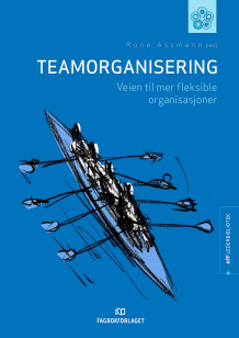 Teamorganisering av Rune Assmann, Rune Assmann, Bjørn Helge Gundersen og Tore Hillestad (Innbundet)