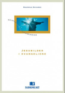 Jesubilder i evangeliene av Ragnhild Schanke (Heftet)