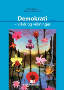Demokrati av Knut Midgaard og Bjørn Erik Rasch (Heftet)