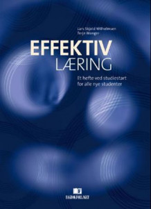 Effektiv læring av Lars Skjold Wilhelmsen og Terje Manger (Heftet)