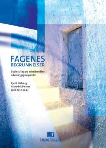 Fagenes begrunnelser av Kjetil Børhaug, Anne-Brit Fenner og Laila Aase (Heftet)